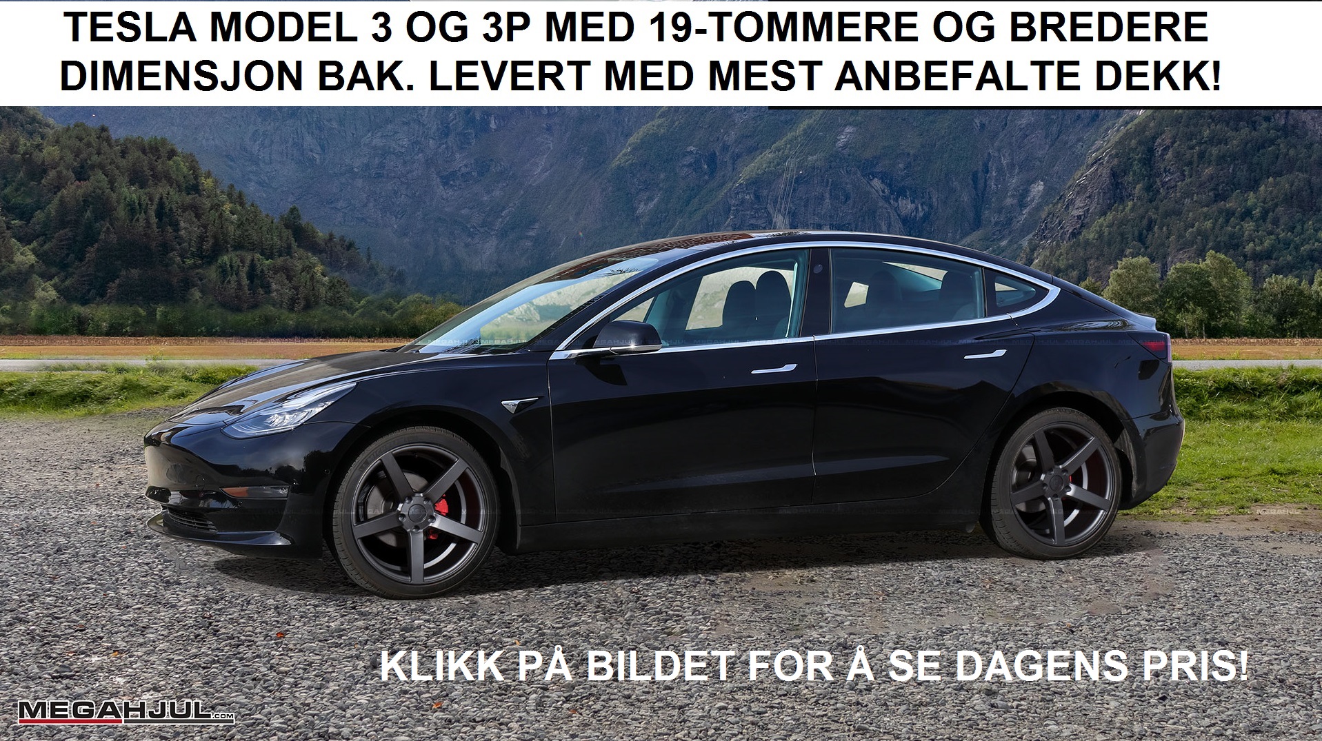 vinterdekk tesla model 3