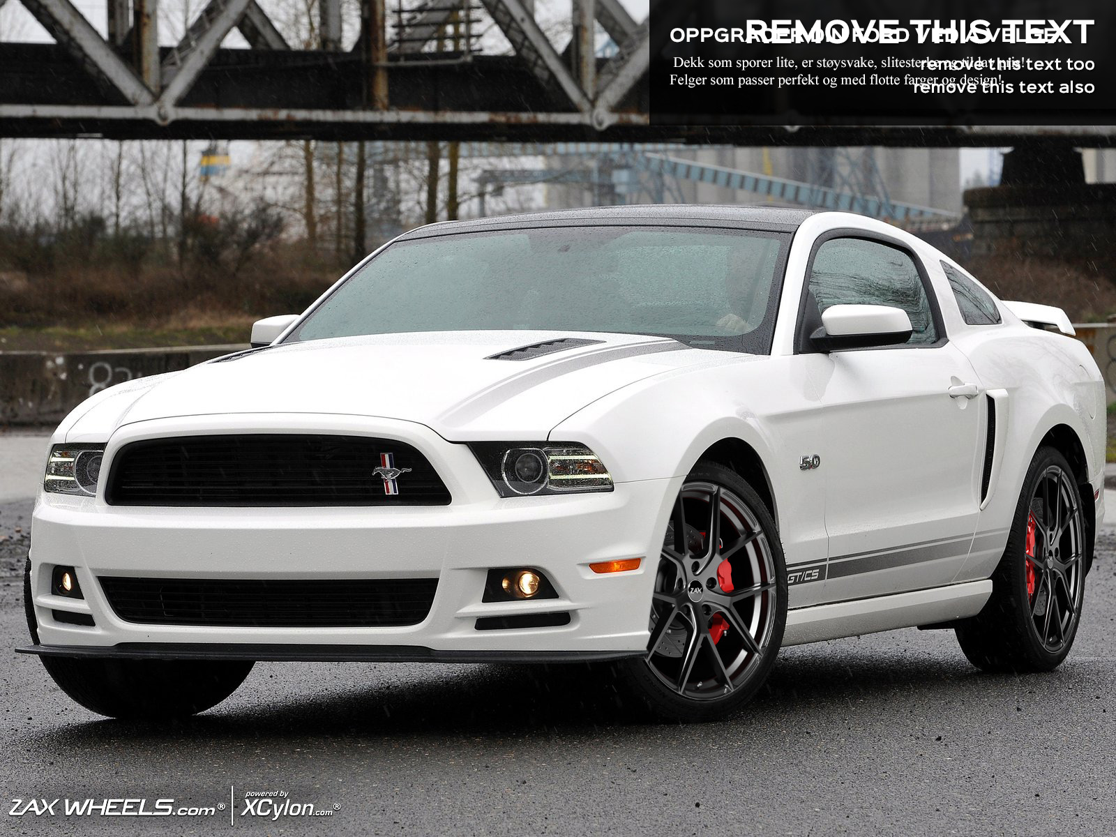 Rims and tires for Ford Mustang (S197) + GT :: 05-14 | Megahjul